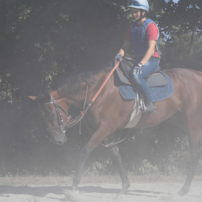 retour de son galop de chasse