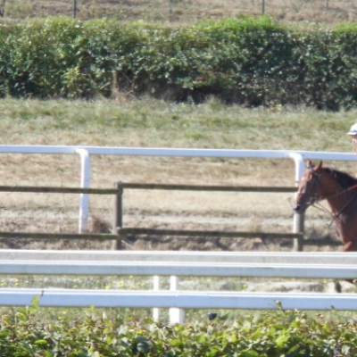 Julie fait un canter