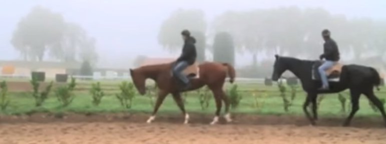calypso ce concentre