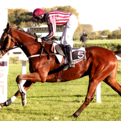 Hippodrome de Nimes