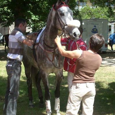 Hippodrome de Orléans