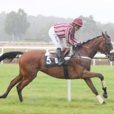 Hippodrome de  Fontainebleau