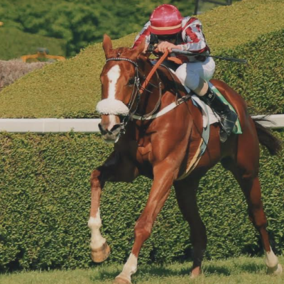 Hippodrome de Nancy