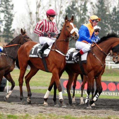 Hippodrome de Strasbourg