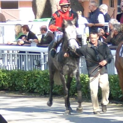 Hippodrome de Toulouse