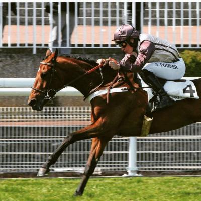 70308764 505958580238796 1928634259447218176 n