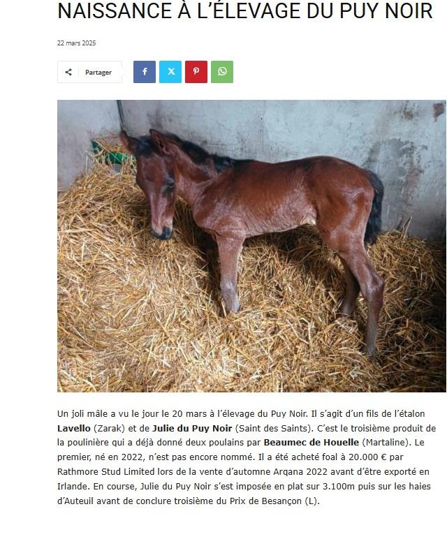 Capture d ecran 23 3 2025 115337 www jourdegalop com