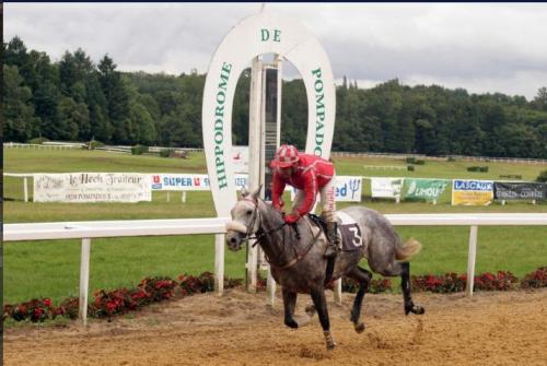 Rose du Bost