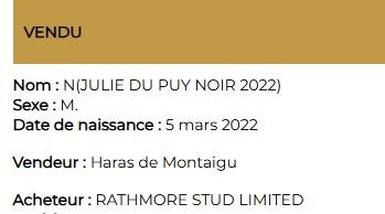 Capture d ecran 3 4 2025 19134 www arqana com