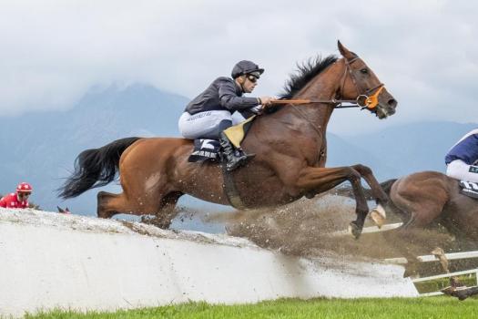 Foto press arigossi 2019 18270