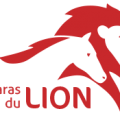 Logo2020