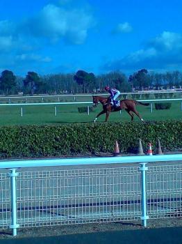 Unnamed 4 1